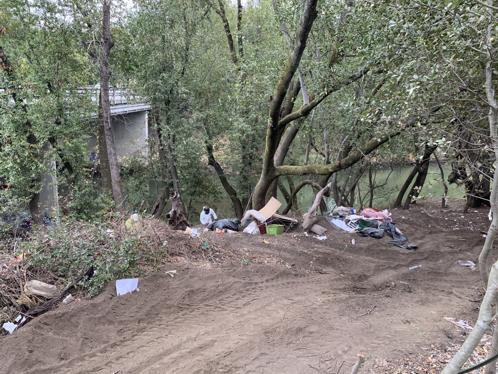 Napa homeless camp